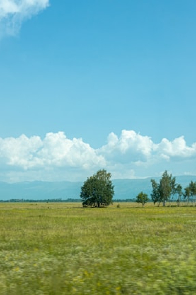 terreno
